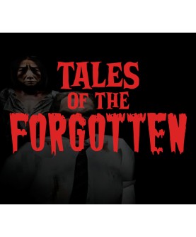 Tales of the Forgotten Steam Key GLOBAL